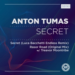 SB190 | Anton Tumas 'Secret' (Luca Bacchetti Endless Remix)
