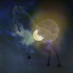 Moon Ponies - piano, flute, cello