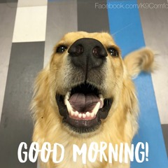 家での愛 Chungus