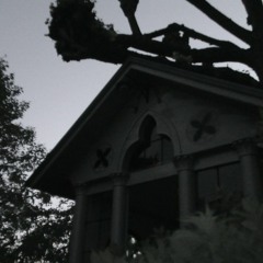 No.3.wake