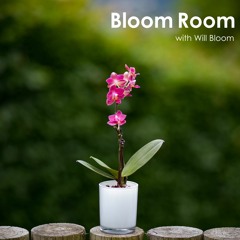 Bloom Room 19 [2022.08.03]
