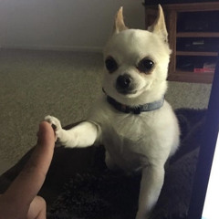우리집에 놀러와 난 진짜 혼자 있어