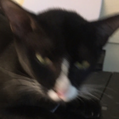 ยิ่งใกล้ยิ่งเจ็บ