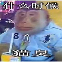 GIÙ TUTTO