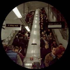 Making Sense of It All