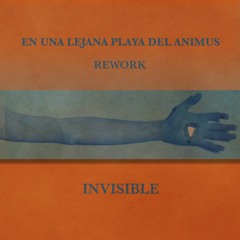 Invisible - En Una Lejana Playa Del Animus (Edit)