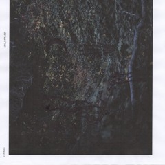 new•kastle (Ewen Vanni) - Threw the blinds