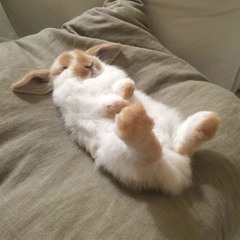 приговор + whoisnewell