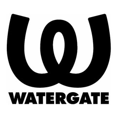 Watergate Dj Vinyl set _ Bloody Mary _30th nov 2013_