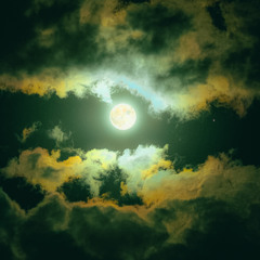 should of saw it coming