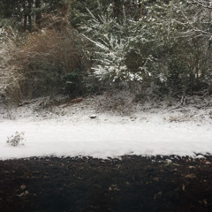 BEAT49_01222024_70 Project SNOW.mp3