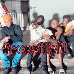 FreestyleN