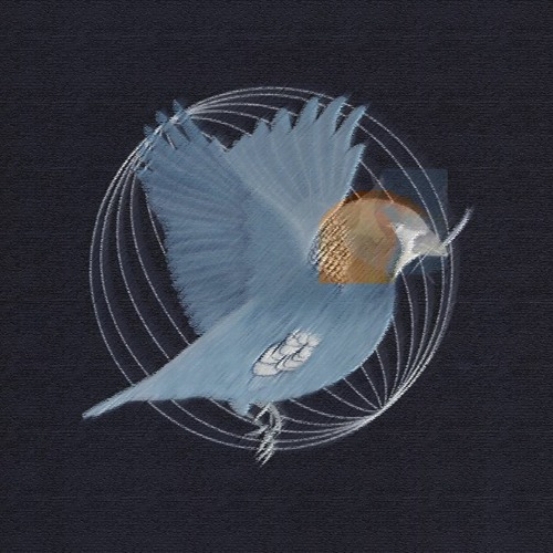 Serion - in a different world [WHSKRS REMIX]