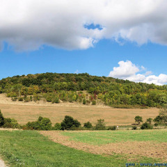 Siffler sur la colline (Joe Dassin)