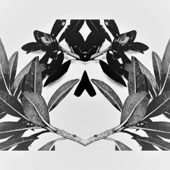 polaris