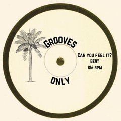 GroovesOnly - Can You Feel It? - Bert