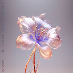 Paramore - All I Wanted (Seek N Destroy Remix)