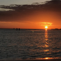 Hot Shit(Prod.Dadrev)