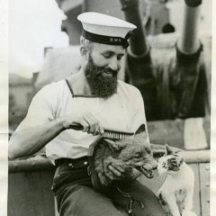 Sail or Anchor