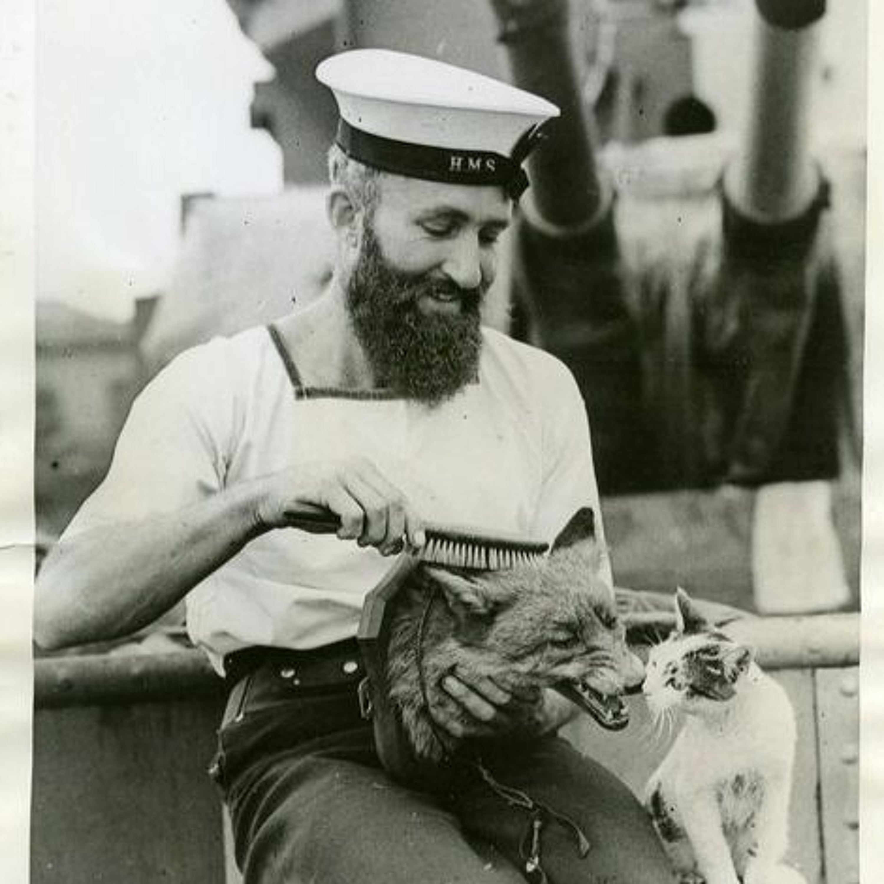 Sail or Anchor