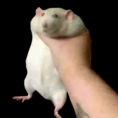 Casualty - Snake River Conspiracy (Cover)