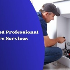 Why You Need Professional Plumbers Services