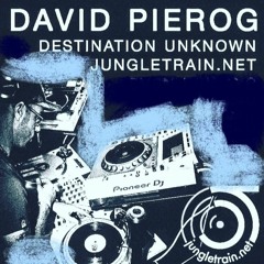 DavidP Pierog Destination Unknown 013024 LIVE From Youngtown,