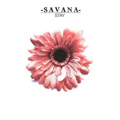 Savana by Andrew Ev