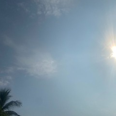 The TOYS - ก่อนฤดูฝน Cover By Zeus