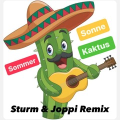 Helge Schneider - Sommer, Sonne, Kaktus! (Sturm & Joppi Remix)