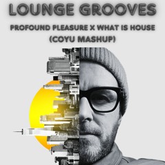 Coyu - Profound Pleasure X What Is House ( Lounge Grooves Mashup)