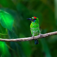 Track 4 Album 1 November