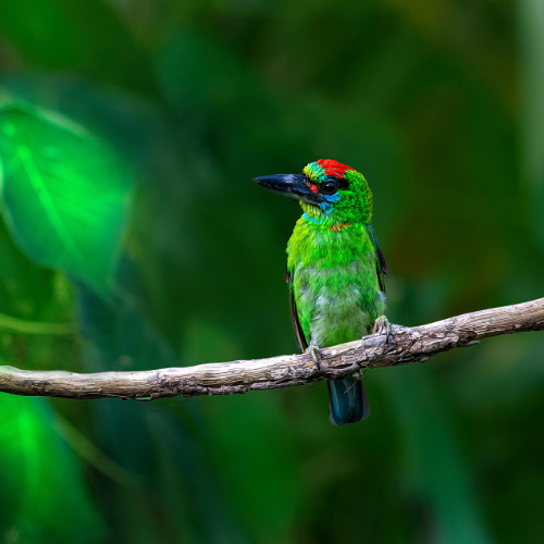 Reupload actually Track 6 Album November