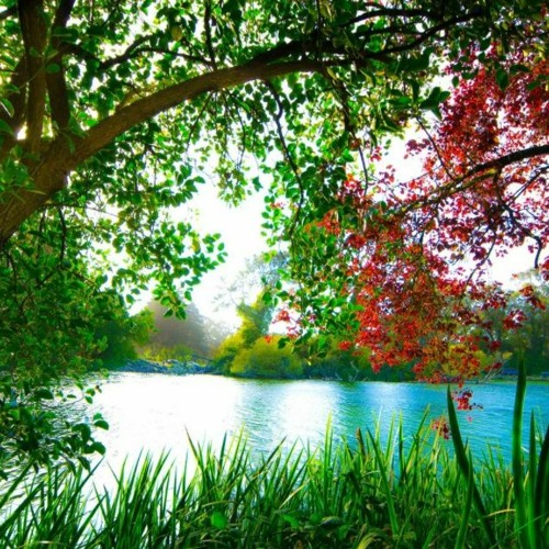 $Angang background cover DOWNLOAD