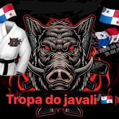 ANIVERSARIO DO JAVALI VS BAILE DO PANAMA - ED DO ESCADAO [ DJS MAURICAO E VN ] 2024