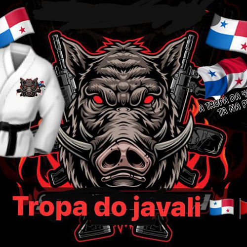 ANIVERSARIO DO JAVALI VS BAILE DO PANAMA - ED DO ESCADAO [ DJS MAURICAO E VN ] 2024