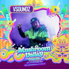Vsoundz - Live -  Mushroom Valley Festival 2023