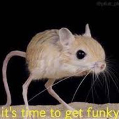 FunkinFunk