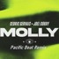Cedric Gervais x Joel Corry - Molly (Pacific Beat Remix)