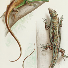 ⠀⠀⠀⠀⠀⠀⠀⠀⠀⠀⠀⠀⠀⠀⠀⠀⠀v2⠀⠀⠀⠀⠀⠀⠀⠀⠀⠀