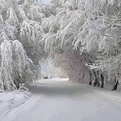 Long Cold Winter