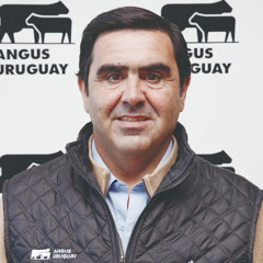 Juan Pablo Pérez Frontini - Angus