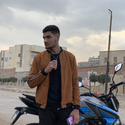 خفاش تراك ضباب