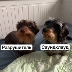 привет беседа авито