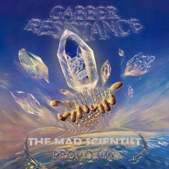GR X: The Mad Scientist Promo Mix (Vinyl)