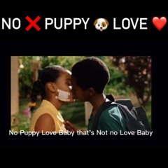 No Puppy Love