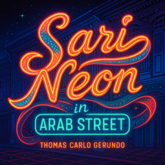 Sari Neon in Arab Street