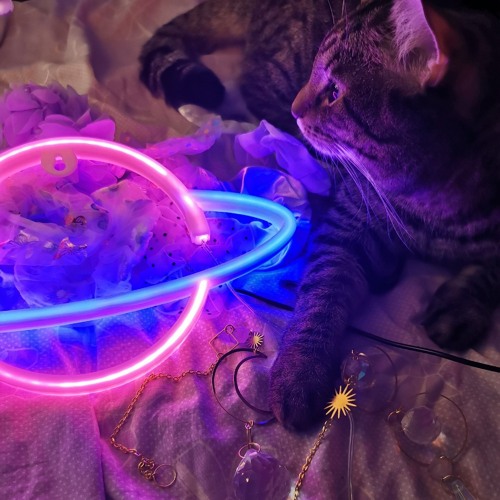 Sᓍᑘᒪ ᖶᓍ Sᓍᑘᒪ💫