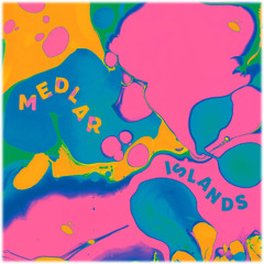 PREMIERE: Medlar "Sun Spots (feat Sam Virdie)" [Delusions Of Grandeur]