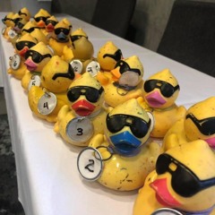 Great Snake River Greenbelt Duck Race happening tomorrow in Idaho Falls